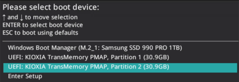 Selecting Boot Device